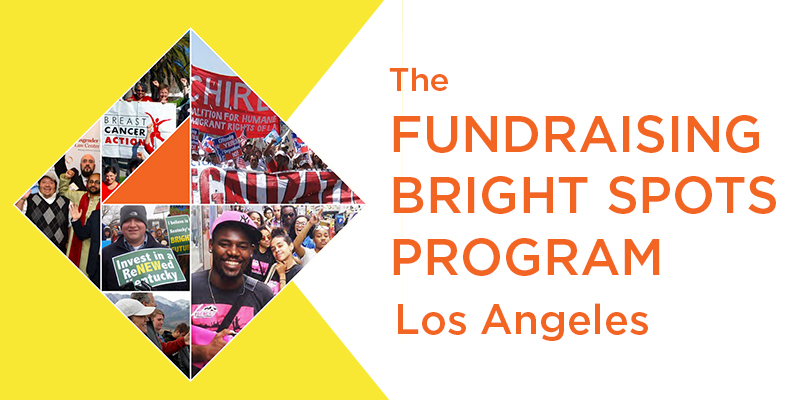 Fundraising Bright Spots Web Logo